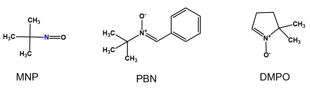 그림 2 MNP, PBN, DMPO의 도식적 화학 구조