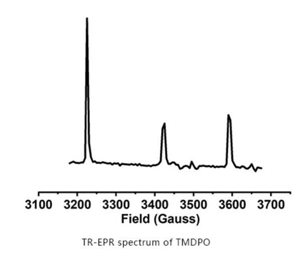 EPR 분광계 애플리케이션 자유 라디칼 쌍/삼중항 상태