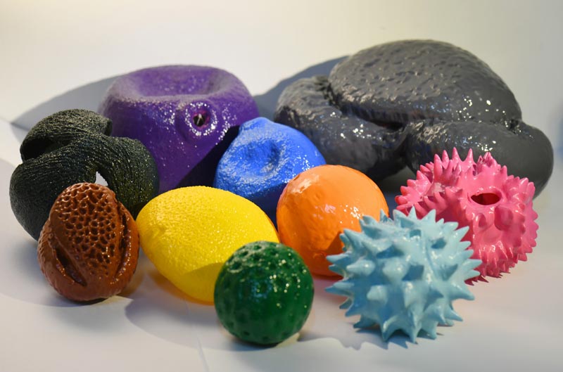 응용프로그램-꽃가루-미세형태학-3D-꽃가루-모델