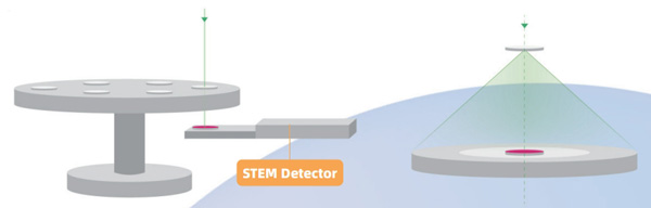 Scanning Transmission Electron Microscopy Detector (STEM)