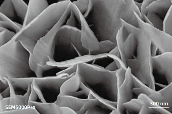 sem image analysis Imaging of nickel foam with strong three-dimensional effect using a 2 kV excitation voltage with Everhart-Thornley Detector (ETD)