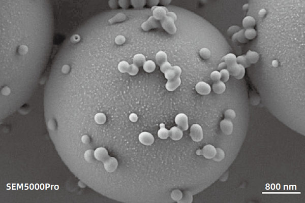 sem image analysis Polymer magnetic beads, with poor conductivity, characterized using a low-voltage at 2 kV with Everhart-Thornley Detector (ETD) for the characterization of biologically targeted drug delivery