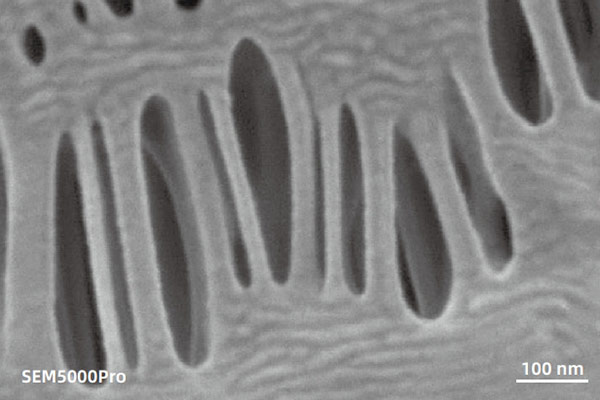 sem image analysis Non-destructive 500 V imaging of lithium-ion battery polymer membrane fibers under the surface-sensitive condition