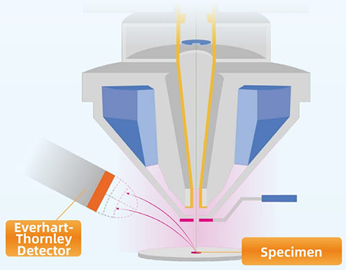 FESEM Microscope Everhart-Thornley Detector (ETD)