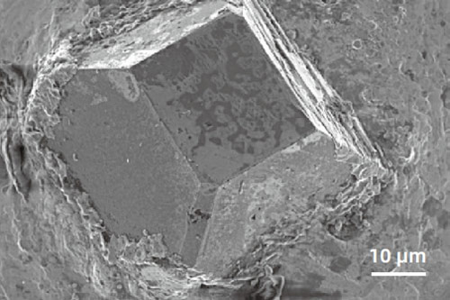 FESEM Microscope Image A great resolution was achieved on surface topographic features with in-lens electron detector imaging