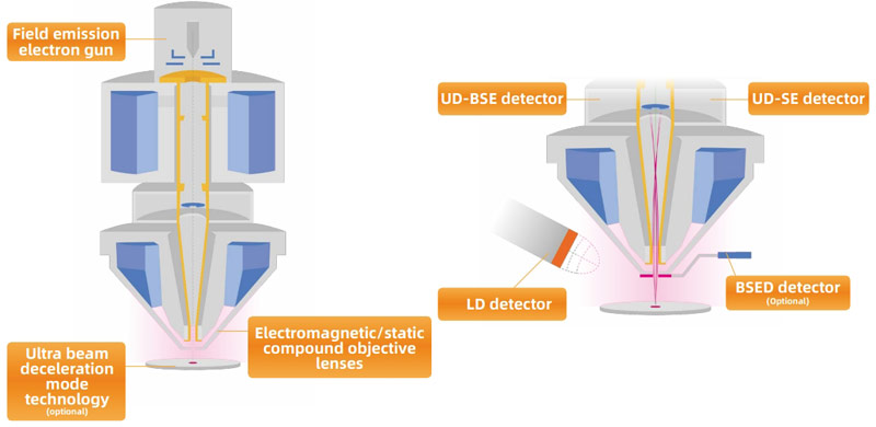 sem Electron Optics