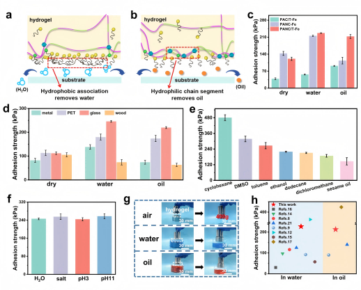 Figure 4. Wet adhesion performance in various liquid environments.
