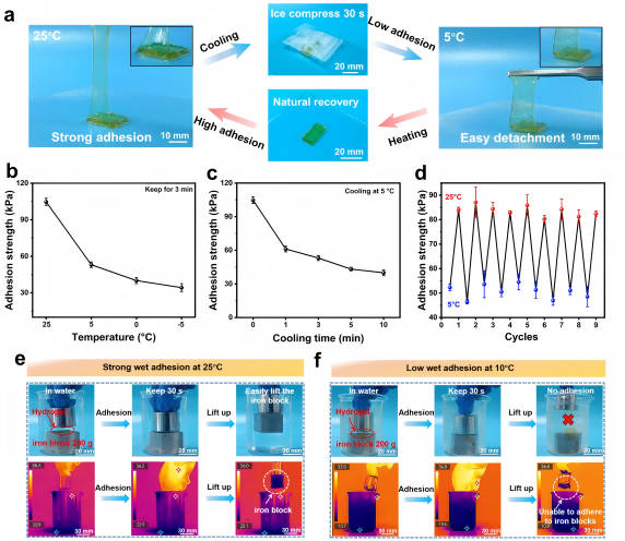 Figure 3. Performance testing of reversible adhesion.