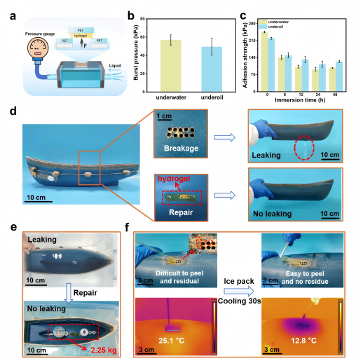 Figure 5. Temporary repair performance of PANC/T-Fe hydrogel.