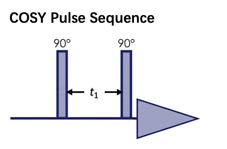 COSY Pulse Sequence
