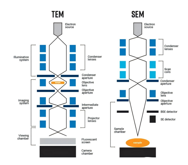 주사전자현미경(SEM)과 투과전자현미경(TEM)의 차이점